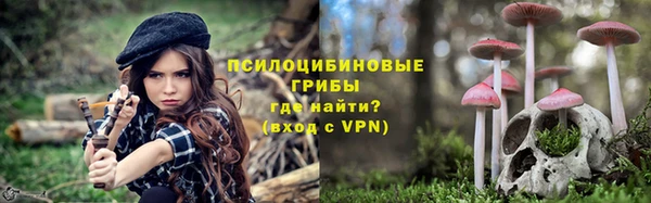 не бодяженный Алексин