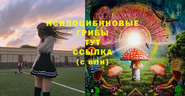 не бодяженный Алексин