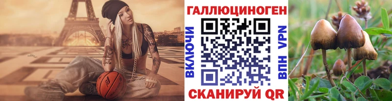 Псилоцибиновые грибы Psilocybine cubensis где найти наркотики Крымск