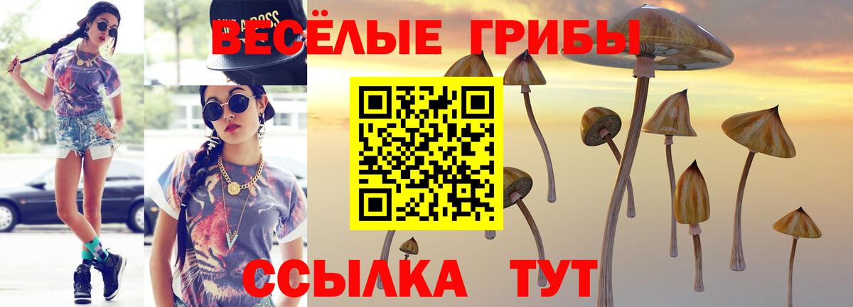 Псилоцибиновые грибы ЛСД  Вход с VPN  Крымск 